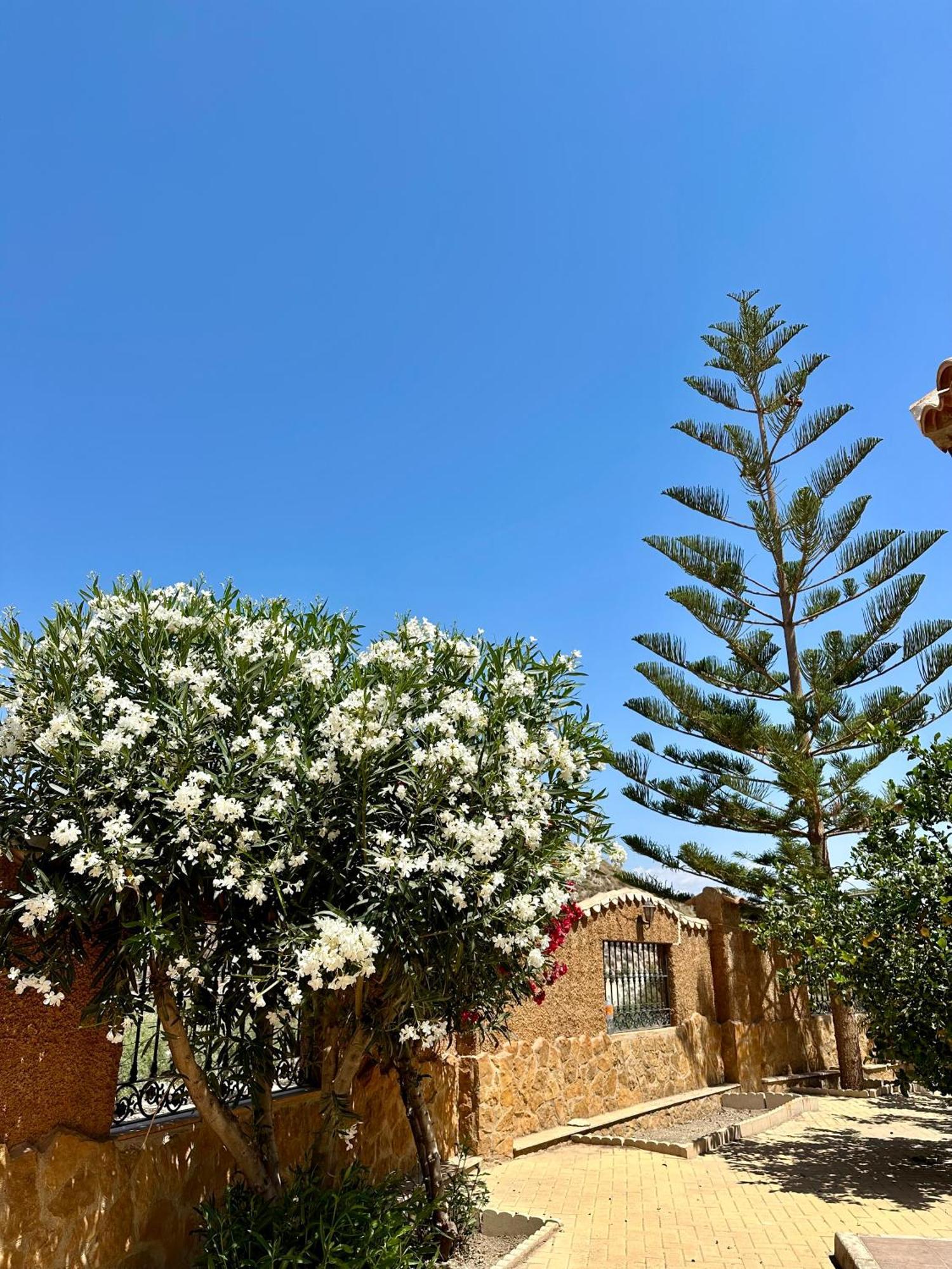 Casa Rural El Pomelo Zurgena Exterior photo